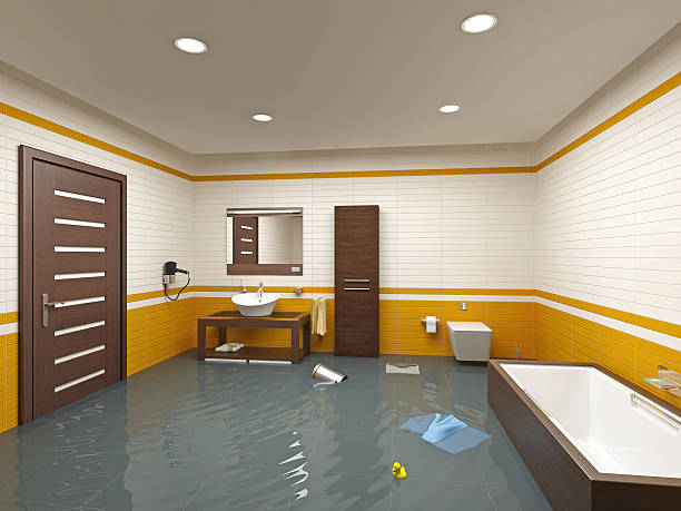 Best Storm and Flood Water Damage Restoration in Stansbury Park, UT